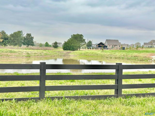 201 Camberly Cove Lane, Meridianville, AL 35759