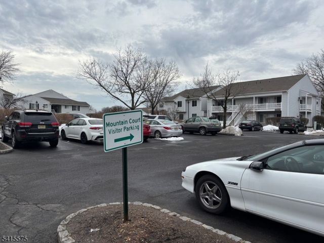 11 Mountain Court, Bedminster Twp., NJ 07921