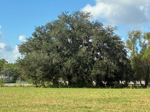 2934 Horse Trail Drive, Rosharon, TX 77583