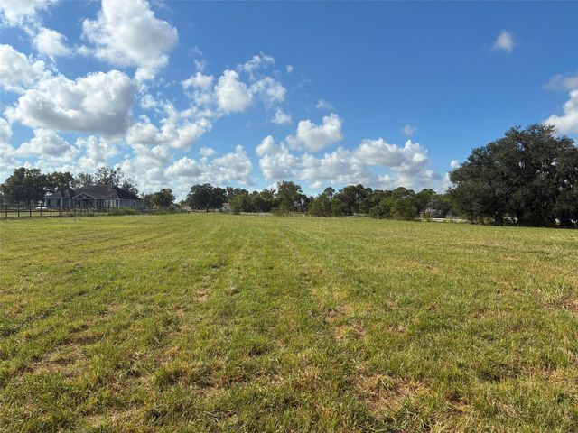 2934 Horse Trail Drive, Rosharon, TX 77583