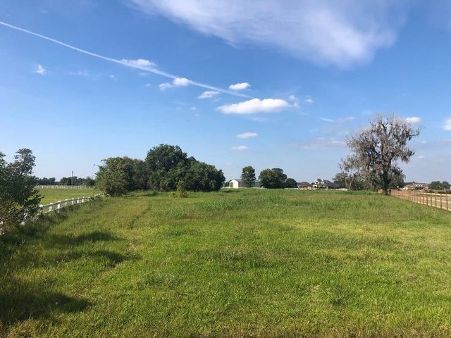 2934 Horse Trail Drive, Rosharon, TX 77583