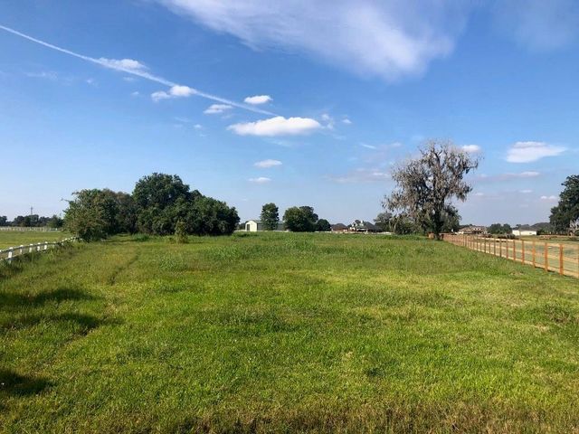 2934 Horse Trail Drive, Rosharon, TX 77583