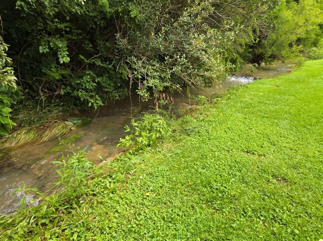1317 Twin Brook Drive, Berea, KY 40403
