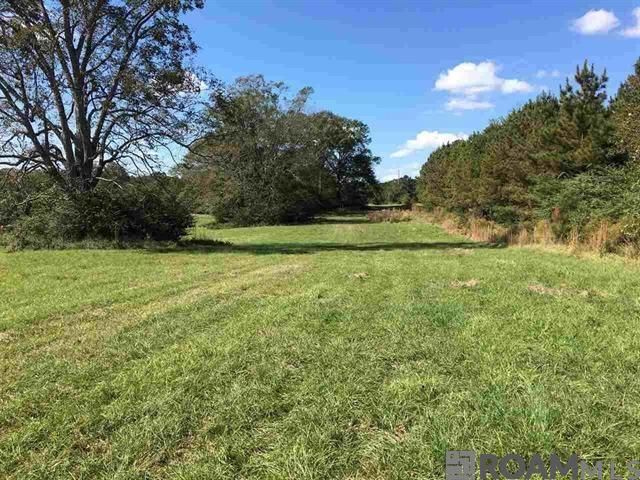 B-5-B-1-A La Hwy 67, Clinton, LA 70722