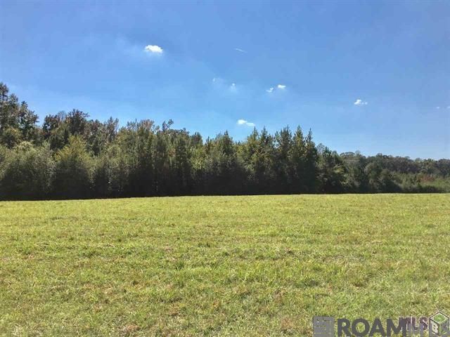 B-5-B-1-A La Hwy 67, Clinton, LA 70722