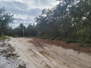 COOTER POND ROAD, Deland, FL 32720