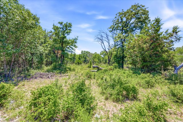 TBD FM 1658, Bridgeport, TX 76426