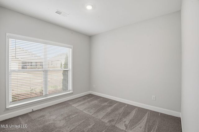 213 Serenity Lake Drive, Pearl, MS 39208