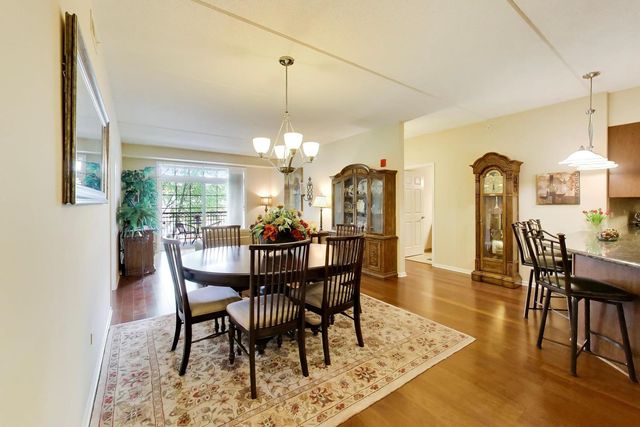 50 S Greeley Street 210, Palatine, IL 60067