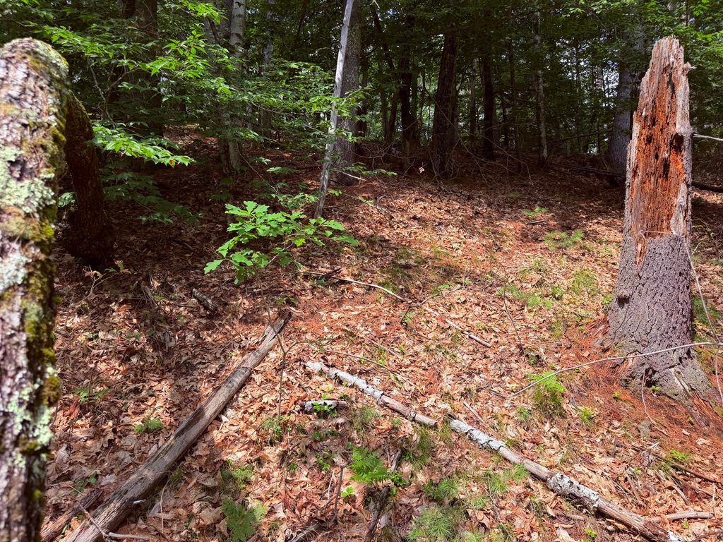 TBD High Point Circle, Waterboro, ME 04061 — photo 2