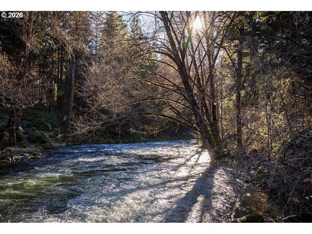 47866 W 1ST St, Oakridge, OR 97463