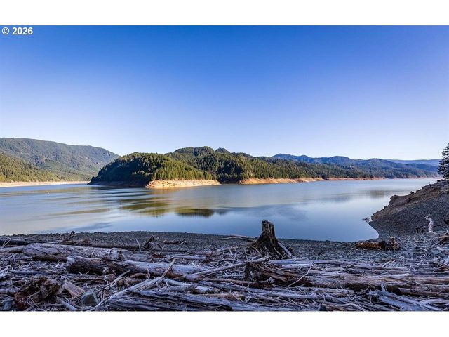 47866 W 1ST St, Oakridge, OR 97463