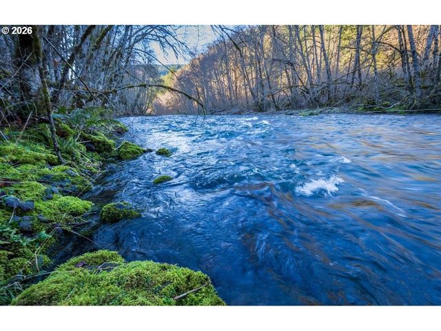 47866 W 1ST St, Oakridge, OR 97463