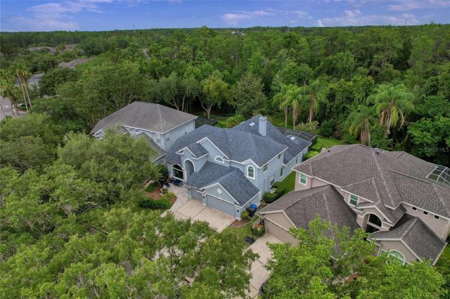 11721 GOTHIC LANE, Tampa, FL 33626
