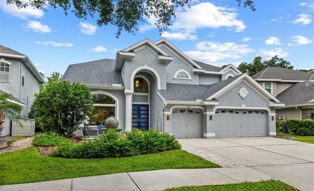 11721 GOTHIC LANE, Tampa, FL 33626
