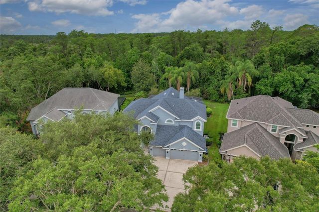 11721 GOTHIC LANE, Tampa, FL 33626