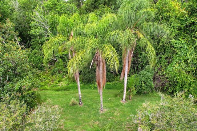 11721 GOTHIC LANE, Tampa, FL 33626