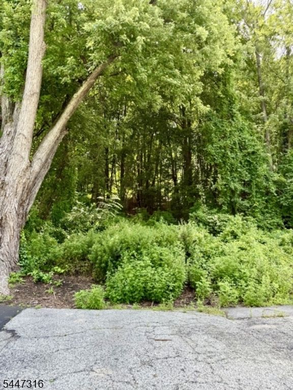19 Mountain View St, Hamburg Boro, NJ 07419 — photo 3
