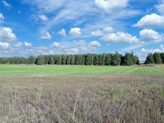 XXX County 77, Wadena, MN 56482