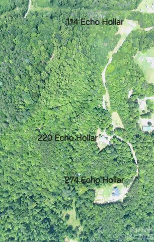 274 Echo Hollar Road, Westfield, NC 27053