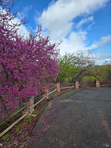 18683 Morgan Valley Rd, Lower Lake, CA 95457