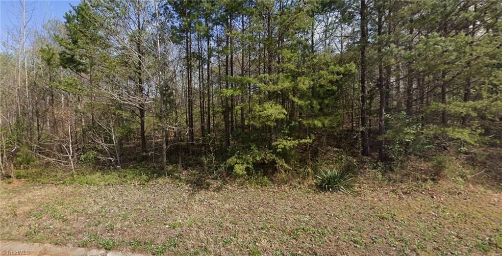 7411 Birchbend Lane Lot 5, Lewisville, NC 27023