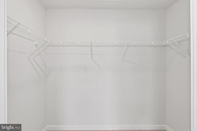 230 SOFT RUSH LN, La Plata, MD 20646