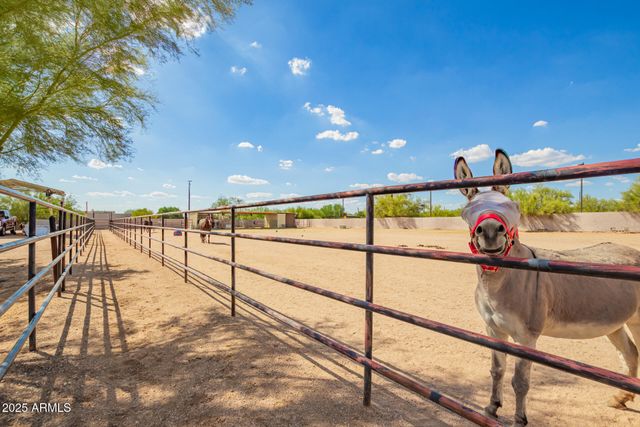 29449 N 64TH Street, Cave Creek, AZ 85331