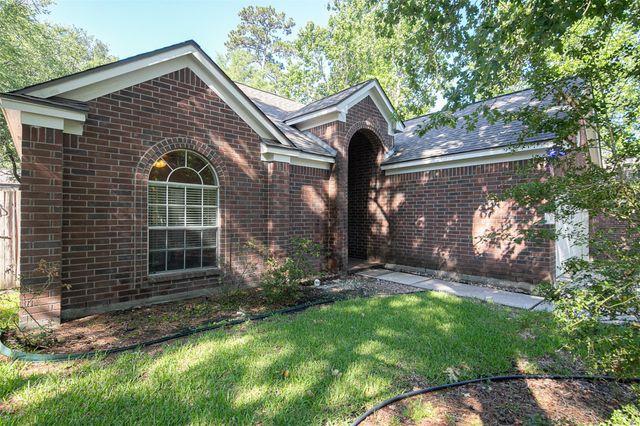 11 Painted Canyon Place, The Woodlands, TX 77381