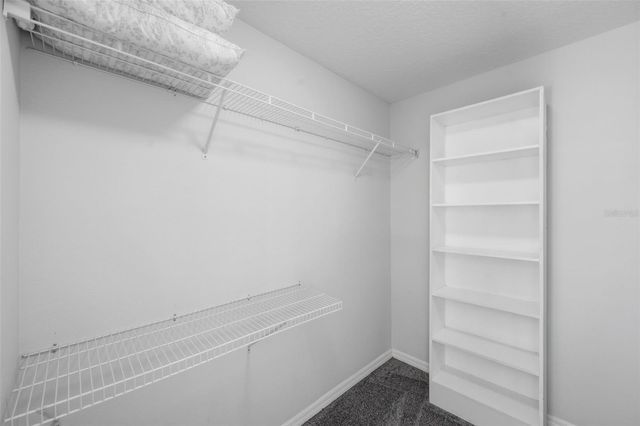 1542 MCCREA DRIVE, Lutz, FL 33549