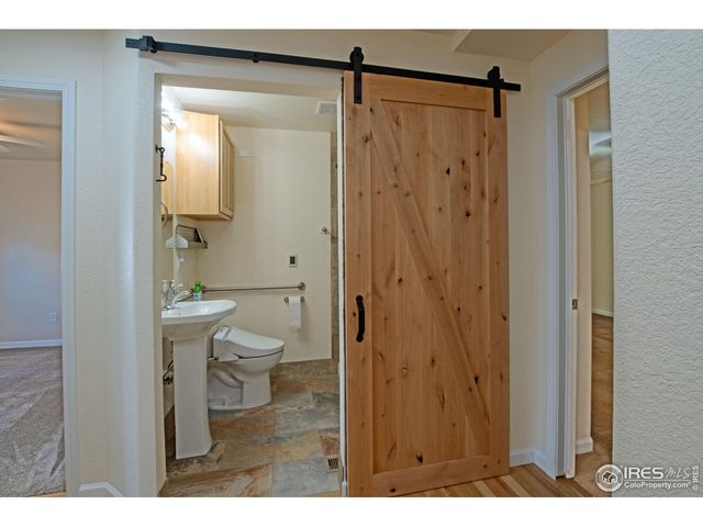 6937 Raleigh St, Wellington, CO 80549