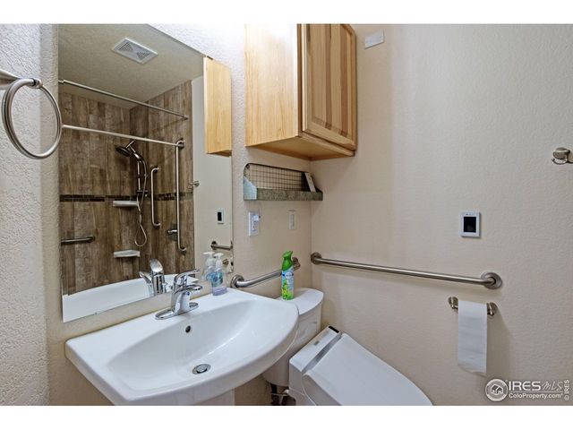 6937 Raleigh St, Wellington, CO 80549