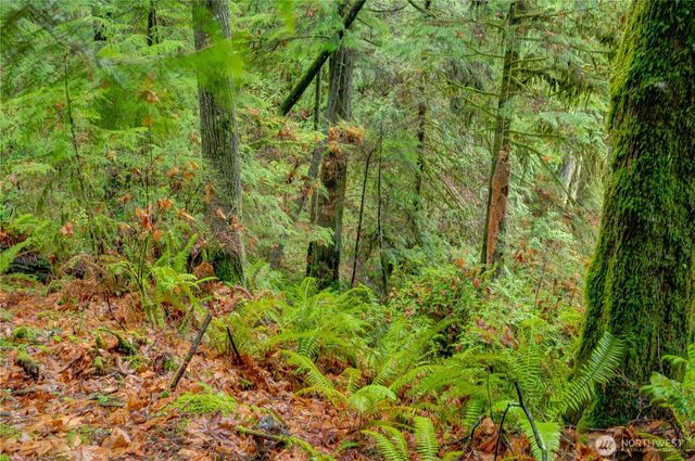 2909 144th Street NW, Gig Harbor, WA 98332