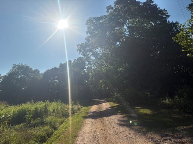 1 Nichols Road, Pinckard, AL 36371