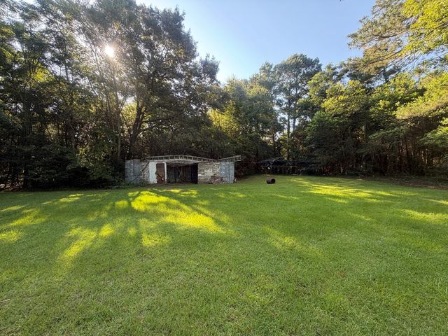 1 Nichols Road, Pinckard, AL 36371