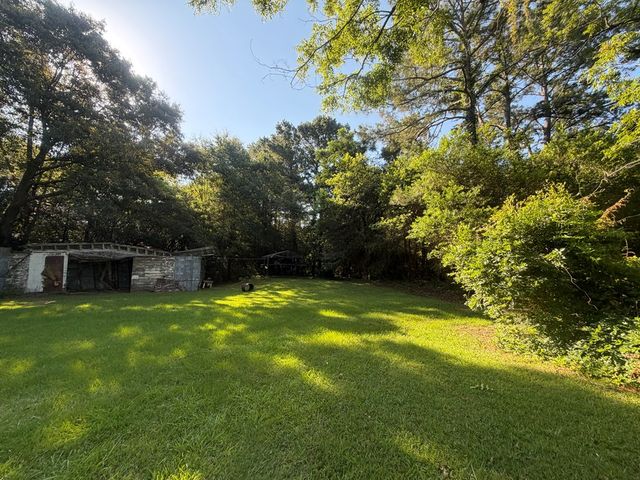 1 Nichols Road, Pinckard, AL 36371