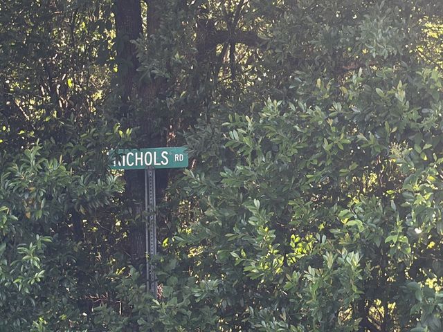 1 Nichols Road, Pinckard, AL 36371
