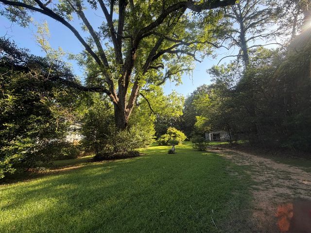 1 Nichols Road, Pinckard, AL 36371