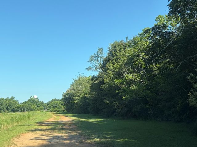 1 Nichols Road, Pinckard, AL 36371