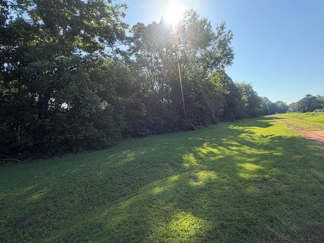 1 Nichols Road, Pinckard, AL 36371