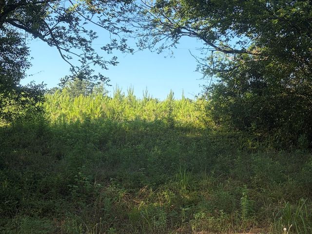 1 Nichols Road, Pinckard, AL 36371