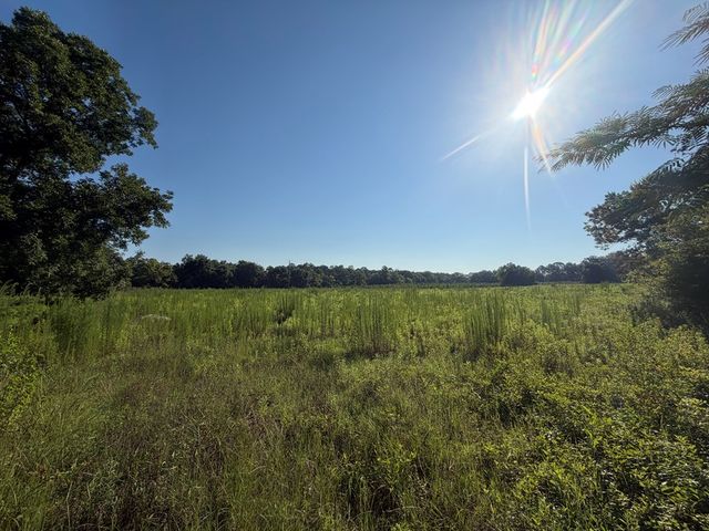 1 Nichols Road, Pinckard, AL 36371