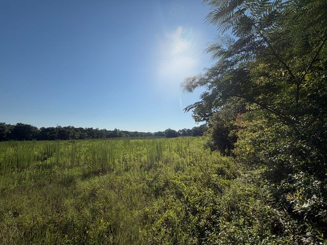 1 Nichols Road, Pinckard, AL 36371