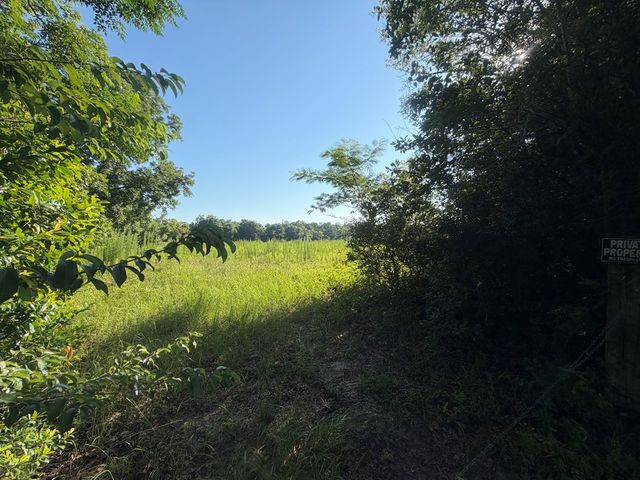 1 Nichols Road, Pinckard, AL 36371