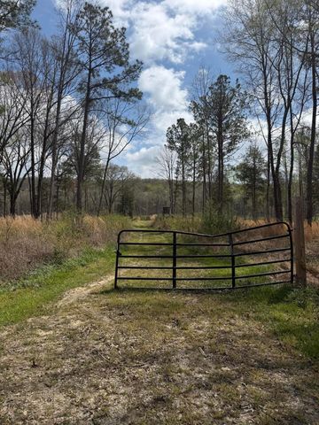 5 Calico Road, Decatur, TN 37322