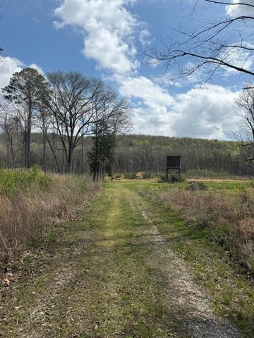 5 Calico Road, Decatur, TN 37322