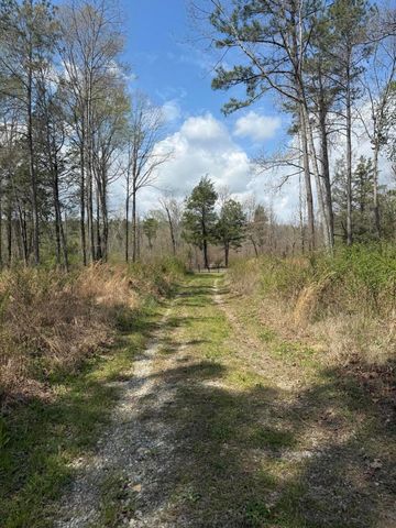 5 Calico Road, Decatur, TN 37322