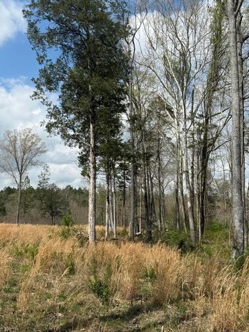 5 Calico Road, Decatur, TN 37322