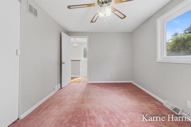 917 E Evergreen Street, Greenville, MI 48838