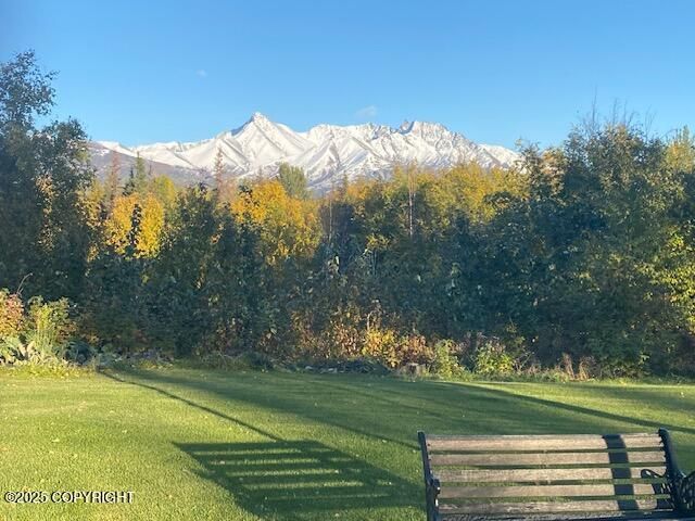 2165 N Monte Vista Drive, Palmer, AK 99645